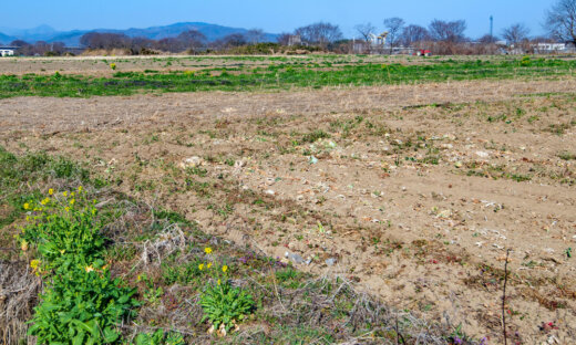 農地を相続したが、いらないので処分したい。どうすればいい？