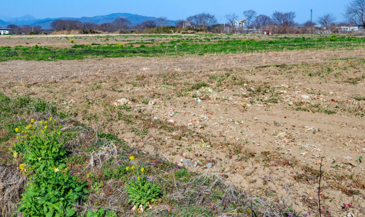 農地を相続したが、いらないので処分したい。どうすればいい？